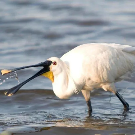Near Groote Keeten Beach, Cleaning Included * Callantsoog